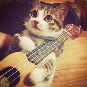 抖音网红露点走光在线
